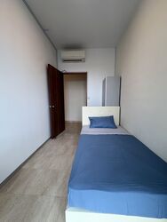 Amaryllis Ville (D11), Condominium #575989761